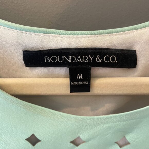 Boundary & Co. Leather Laser-cut Mint Tank Top - Picture 2 of 5